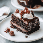 Mississippi Mud Cake