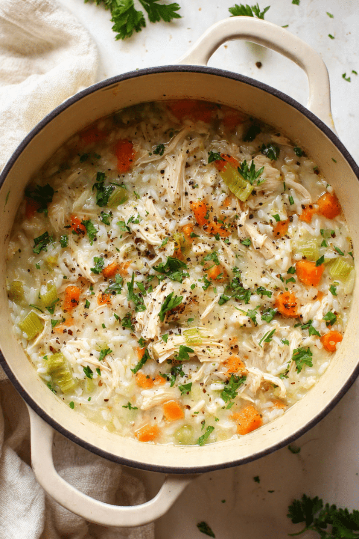 Chicken, Leek, and Rice Soup