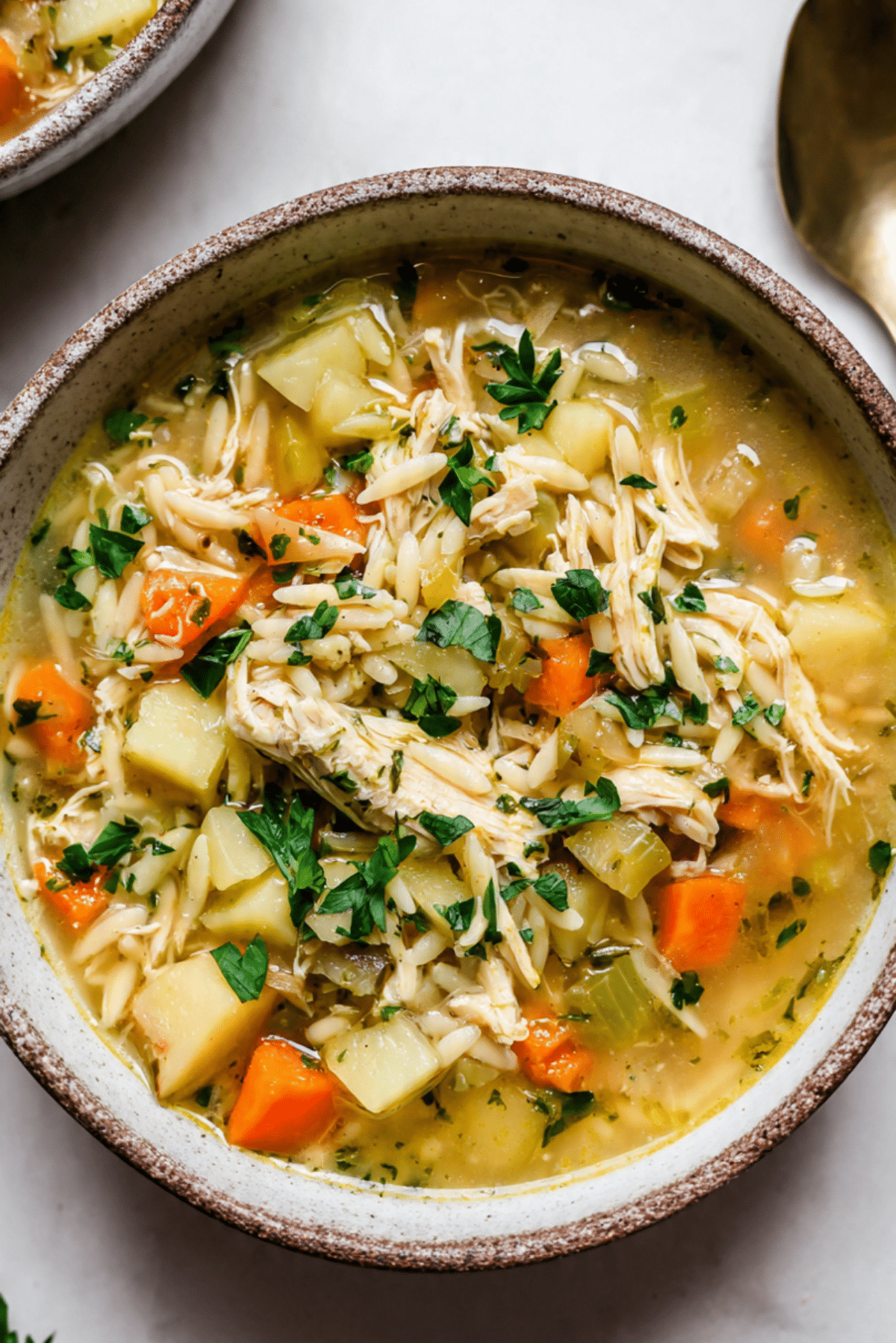 Fall Chicken and Orzo Soup