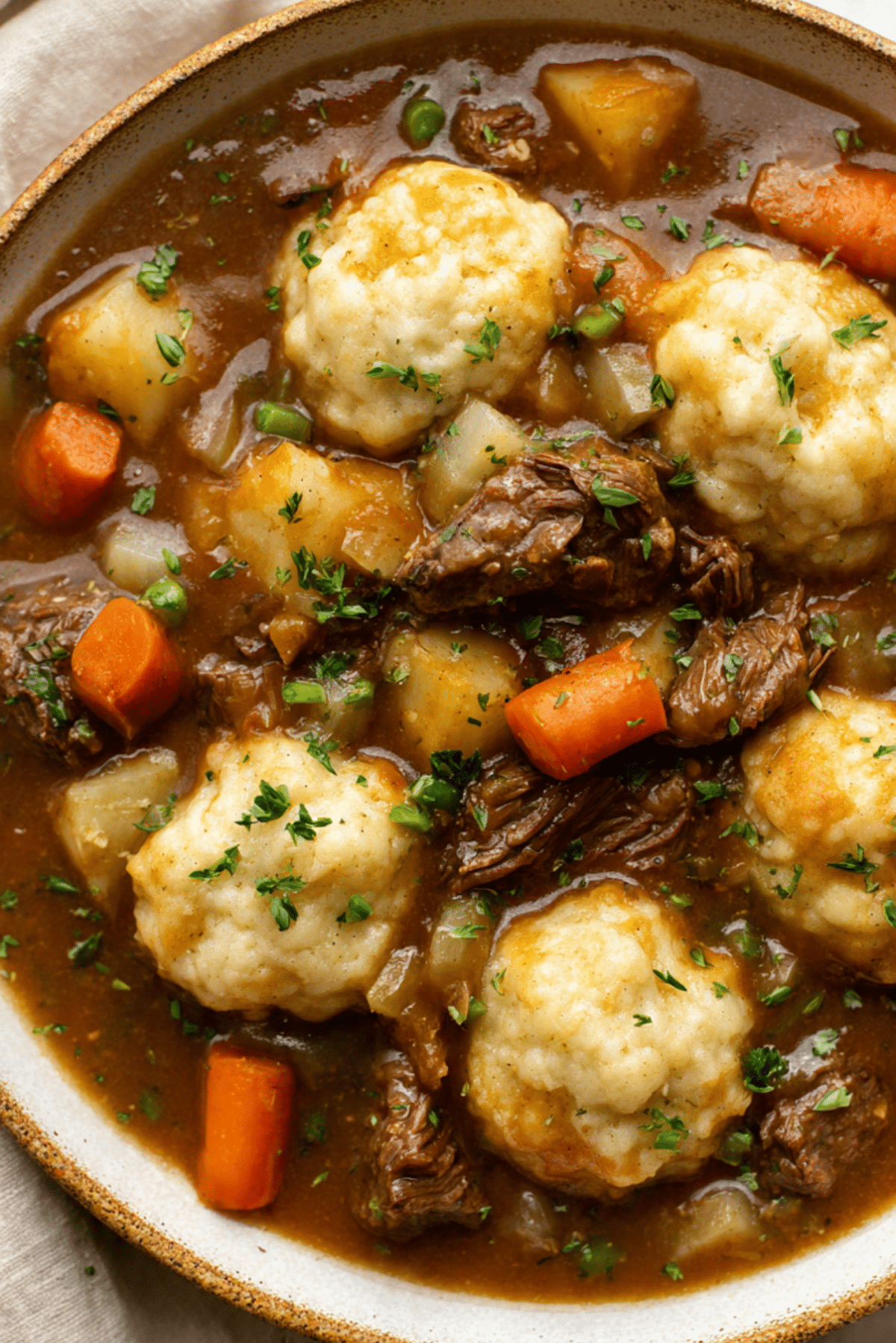 Crockpot Beef Tip Stew with Dumplings