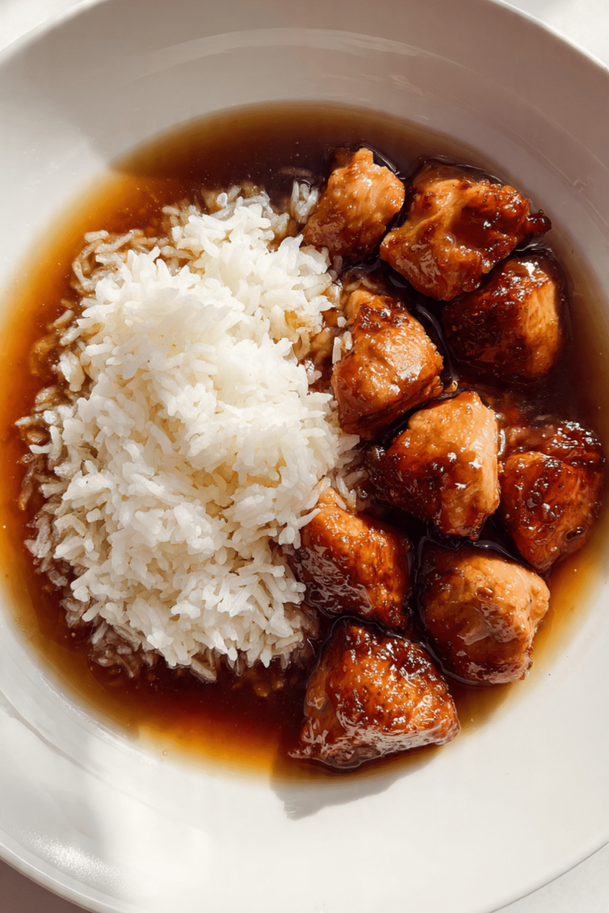 Caramelised Soy Chicken in Garlic Ginger Broth with Rice