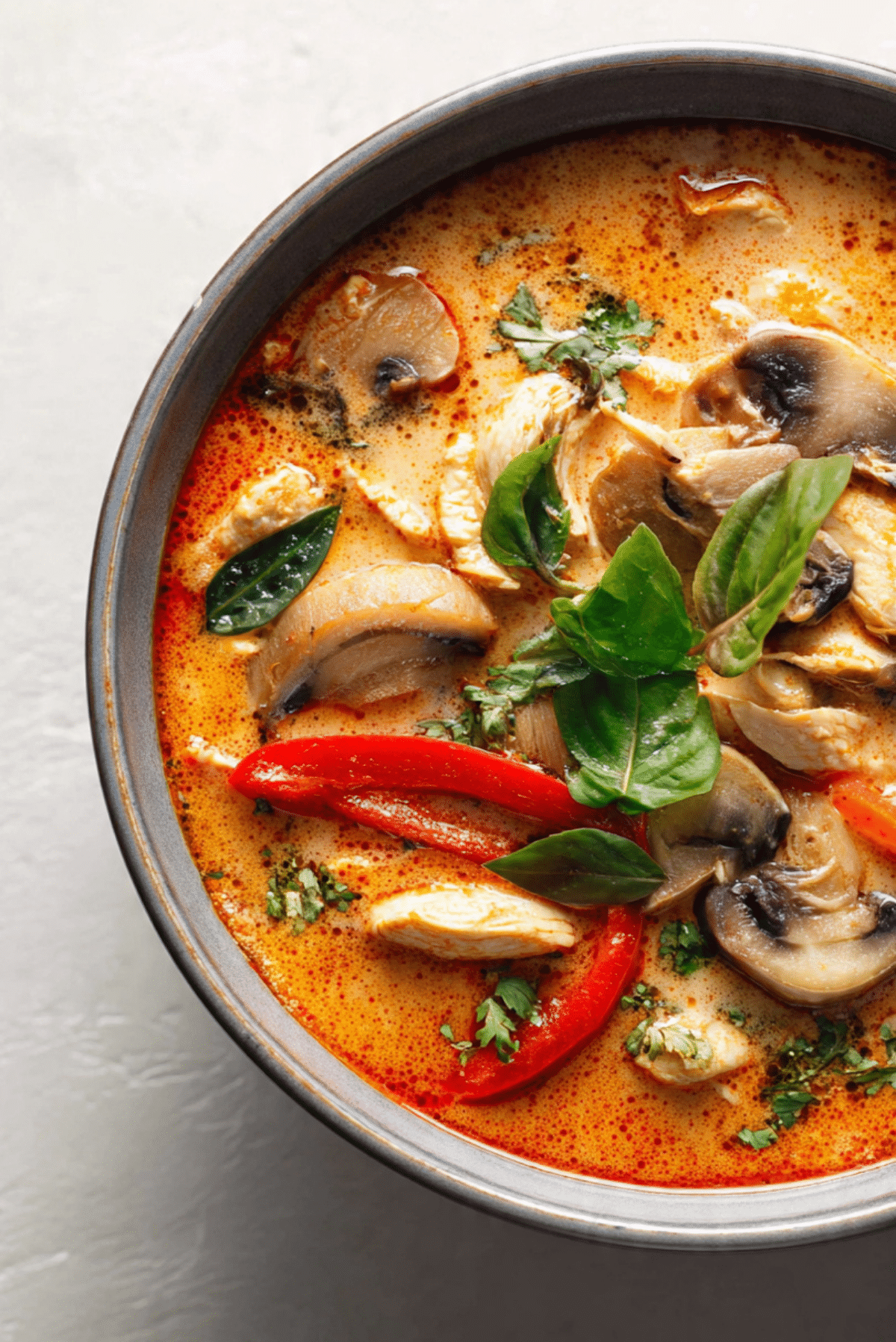 Thai Red Curry Chicken Soup