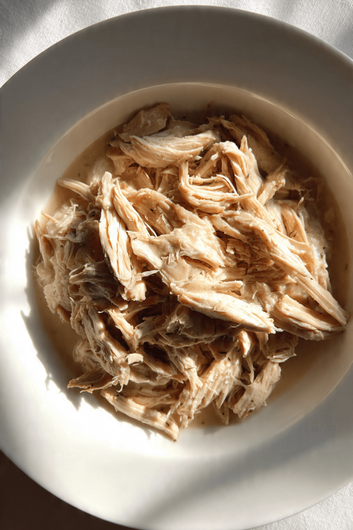 Crockpot Chicken and Gravy