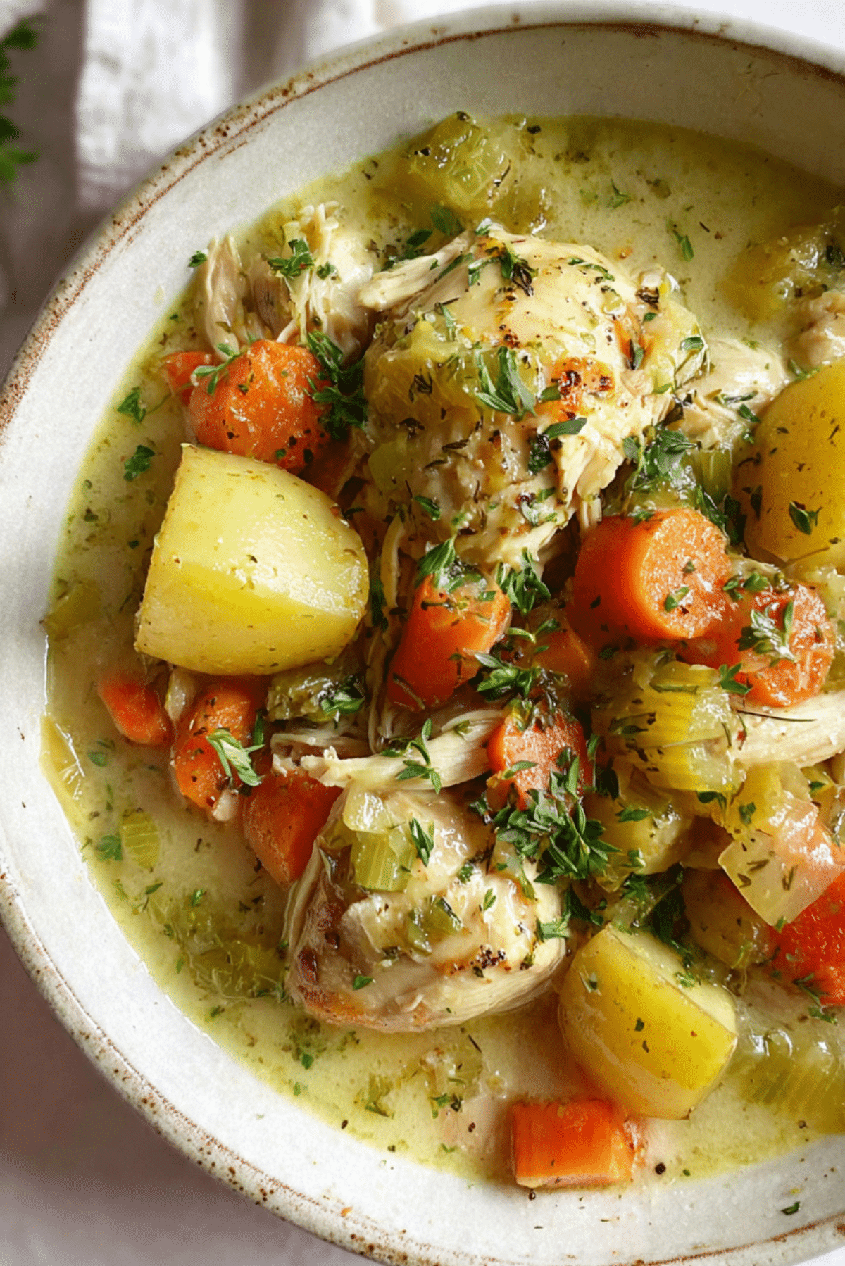 Slow Cooker White Wine Chicken Stew